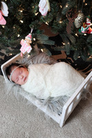 Steudel Newborn Session