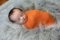quigley newborn session
