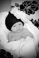 Harper Lou