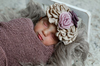 Baby Jeorgia's newborn session